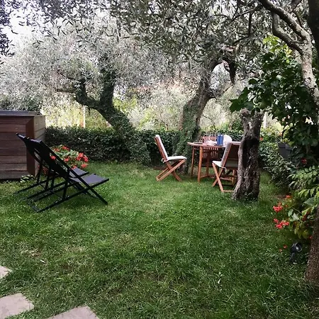 Velamica 3*
