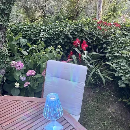 Velamica Bed & Breakfast