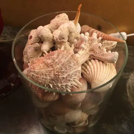 Velamica Lerici